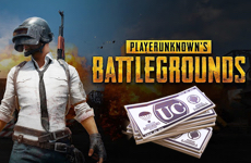 PlayerUnknown's Battle Grounds (PUBG) Gift Card